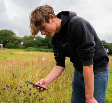 Young man taking a picture of wildflowers using a smartphone